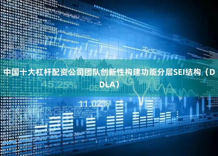 中国十大杠杆配资公司团队创新性构建功能分层SEI结构（DDLA）