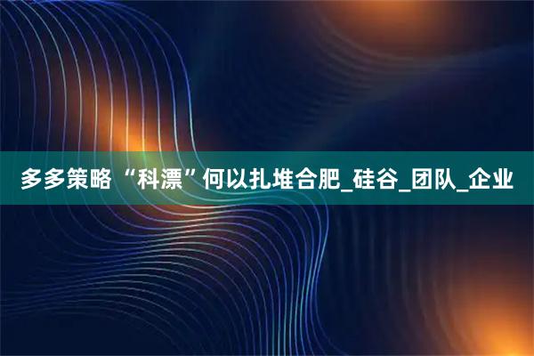 多多策略 “科漂”何以扎堆合肥_硅谷_团队_企业