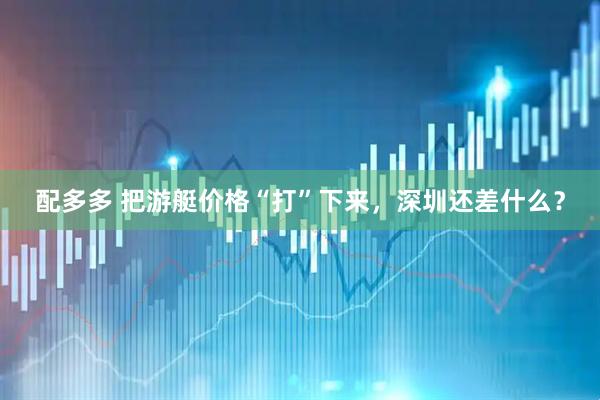 配多多 把游艇价格“打”下来，深圳还差什么？